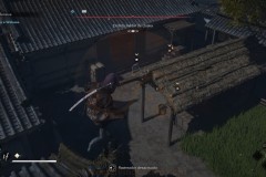 AC_SHADOWS-37