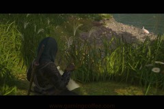 AC_SHADOWS-39