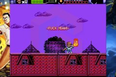 Review-AVGN-8
