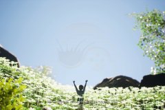 Bramble The Mountain King_20230423181938