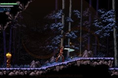 Review-Chronicles-of-the-Wolf-11