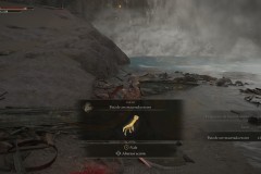 EldenRingByGamingCoffee148
