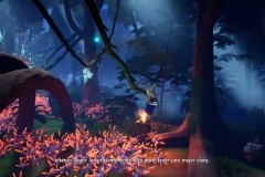 233-Review-LIFTED