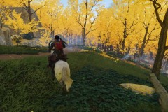 Ghost of Tsushima_20200805183746