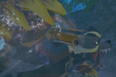 MHS3-Review-F13