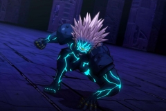 OPM-17
