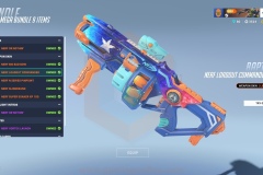 OW2NERF-003