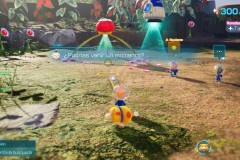 Pikmin26