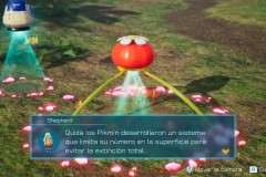 Pikmin63