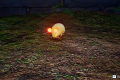 Pikmin67