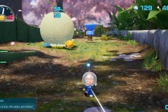 Pikmin79