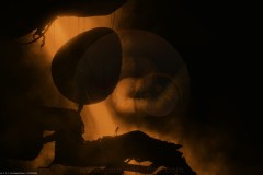 Preview-Bionic-Bay-5