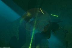 Preview-Bionic-Bay-59