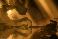 Preview-Bionic-Bay-8