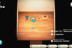 AnimalCrossingNewHorizonsNSW20119