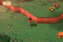 AnimalCrossingNewHorizonsNSW20158