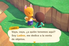 AnimalCrossingNewHorizonsNSW20309