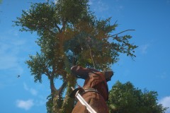 Review-Assassins-Creed-Black-Flag-Resynced-40