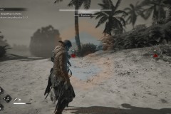 Review-Assassins-Creed-Black-Flag-Resynced-50