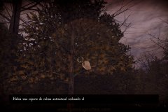 ASYLUM-2
