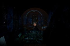 ASYLUM-23