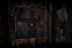 ASYLUM-37