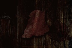 Review-CONSCRIPT-397