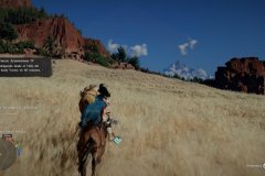 ReviewCrimsonDesert0269