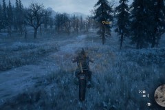 Review-DaysGoneRemastered-12