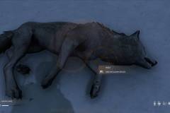 DayZ-Frostline-131