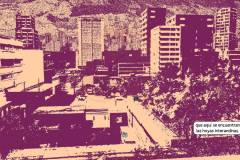 Despelote-18