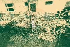 Despelote-47