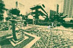 Despelote-52