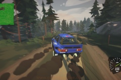 driverally-27