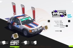 driverally-30