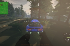 driverally-71