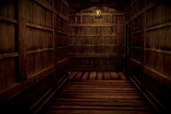 Fatal-Frame-6