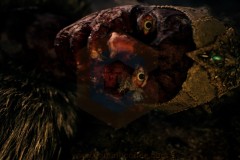 Review-Hellblade-11
