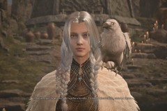 Mistfall-Hunter-45
