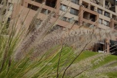 Macro1