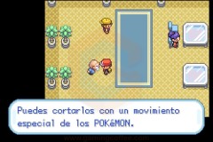 Review-PokemonRojoFuego-15