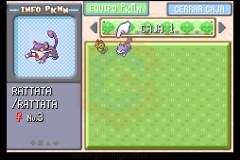 Review-PokemonRojoFuego-21