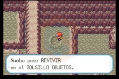 Review-PokemonRojoFuego-27