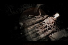 Post-Trauma-24