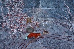 Review-Spirit-of-the-North-2-132