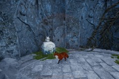 Review-Spirit-of-the-North-2-14