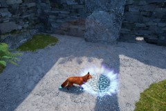 Review-Spirit-of-the-North-2-16