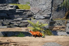 Review-Spirit-of-the-North-2-26
