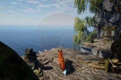 Review-Spirit-of-the-North-2-33