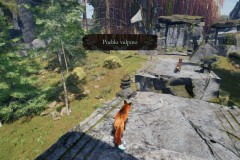 Review-Spirit-of-the-North-2-63